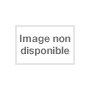 Aucune image pour CORIANDRE MOULU 800g (EPICE)